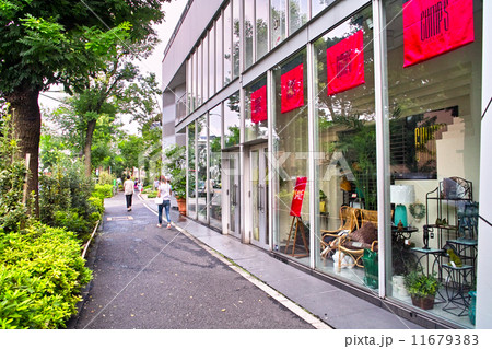 代官山の店舗 11679383