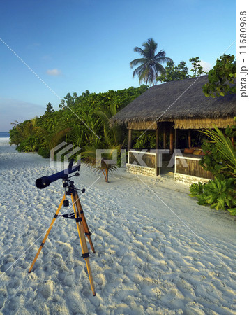 Tropical Beach Resort - The Maldives 11680988