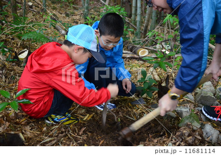 筍狩り１ 11681114