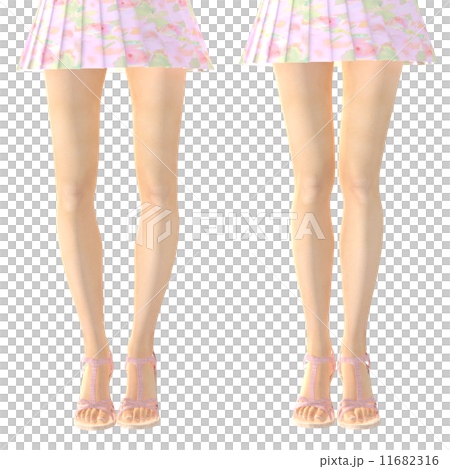 O legs and normal legs Real 3DCG illustration material 11682316