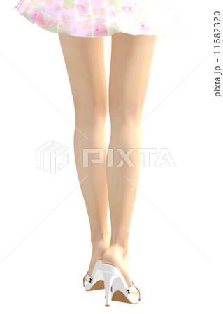 すらりとした美しい女性の脚 すらりとした美しい女性の脚 11682320