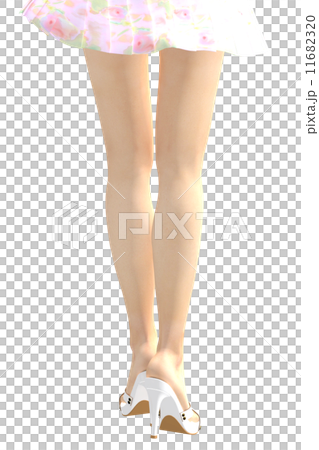 すらりとした美しい女性の脚 すらりとした美しい女性の脚 11682320