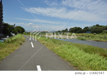 淺川ゆつたりロードの夏　八王子市 11682567