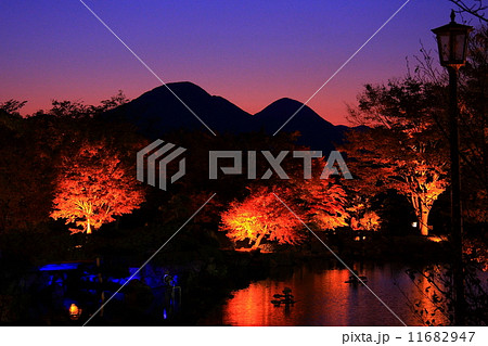 桜山公園ライトアップの写真素材