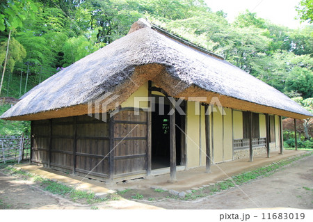 薬師池公園の藁ぶき屋根の旧日本家屋 11683019