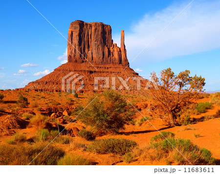 Mitten Butte in Monument Valley Mitten Butte in Monument Valley 11683611