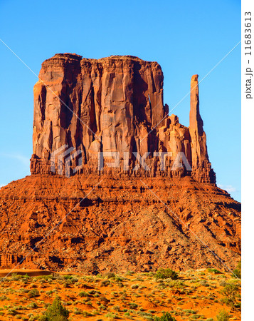 Mitten Butte in Monument Valley 11683613
