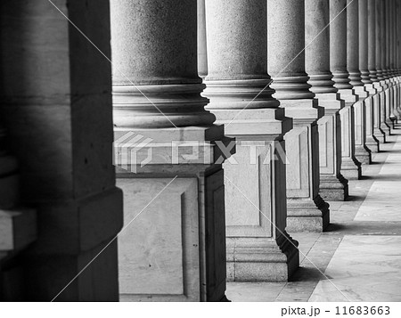 Row of columns in black and white Row of columns in black and white 11683663