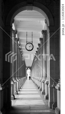 Mill colonnade in Karlovy Vary in black and white 11683664