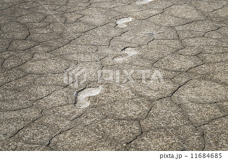 Footsteps in salt 11684685