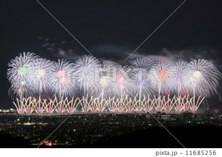 長岡の花火　〜フェニックス〜 11685256