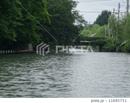 柳川の川下り 11685751