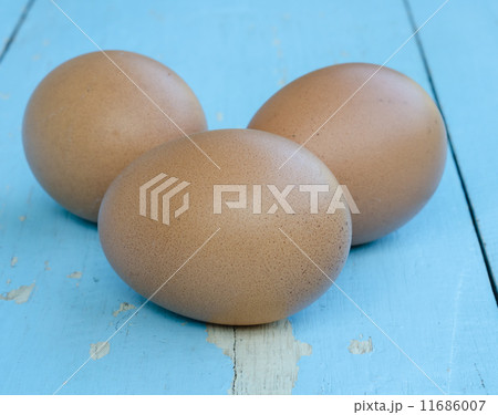 Chicken egg . Chicken egg . 11686007
