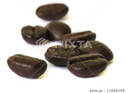 coffee beans seed . coffee beans seed . 11686269