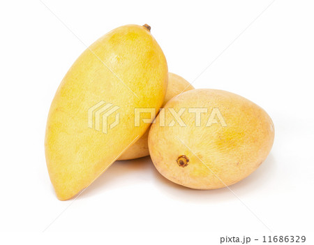 mango fruit. 11686329