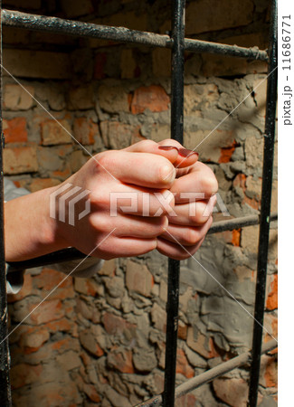 Woman hands behind the bars Woman hands behind the bars 11686771