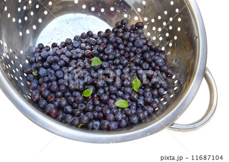 Blueberries 11687104
