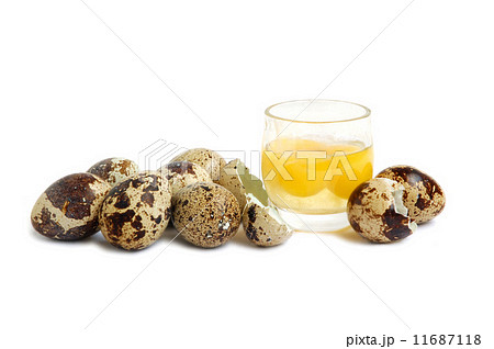 Bunch of quail eggs Bunch of quail eggs 11687118