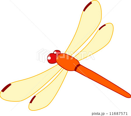 赤とんぼ 11687571