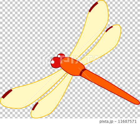 Red dragonfly 11687571