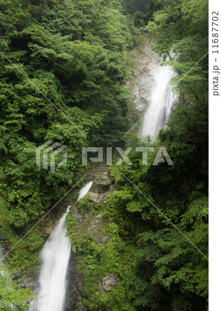 原不動滝 男滝と女滝 原不動滝 男滝と女滝 11687702