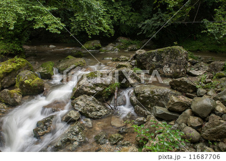 原不動滝 渓谷の様子 原不動滝 渓谷の様子 11687706