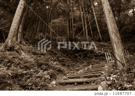 原不動滝への急な階段 11687707