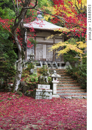 紅葉　京都　護法堂弁財天 11688003