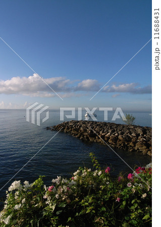 海 11688431