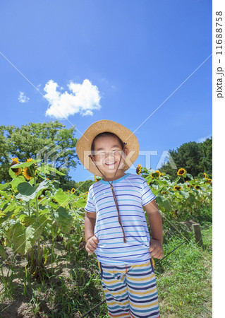 ひまわり畑と笑顔の子供 ひまわり畑と笑顔の子供 11688758