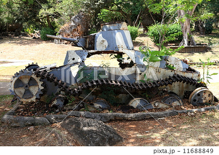 サイパン 11688849