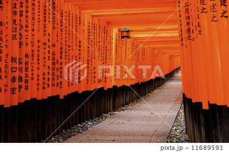 Fushimi Inari Taisha Shrine in Kyoto City, Japan 11689591