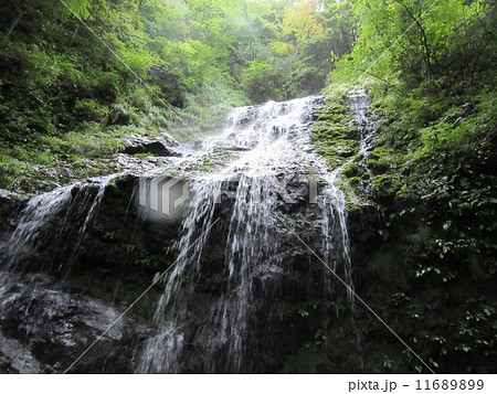 飛龍の滝 11689899
