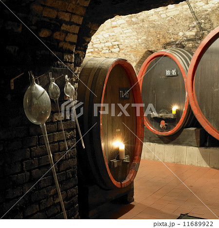 wine cellar, Litomerice, Czech Republic 11689922