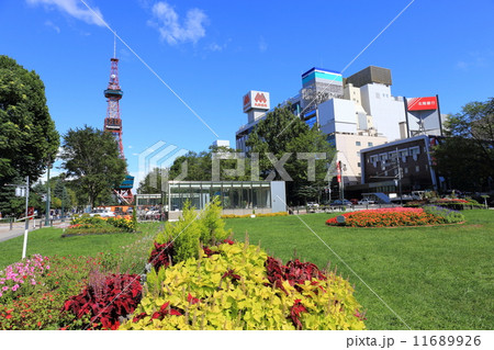 真夏の大通公園 真夏の大通公園 11689926