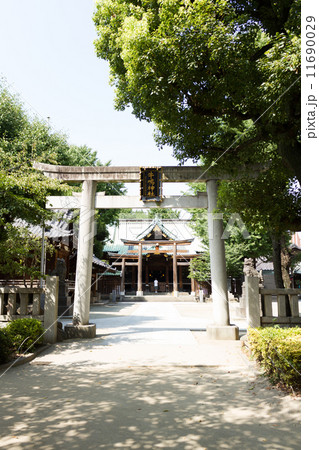 牛島神社 11690029