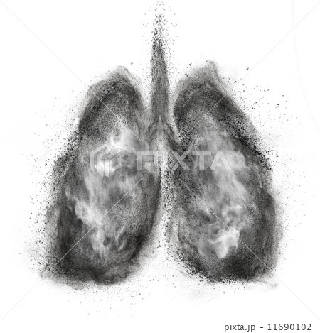 Lungs made of black powder explosion isolated on white 11690102