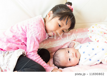 きょうだい　生後２カ月と５歳 11690802