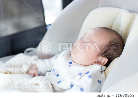2 months old 2 months old 11690958