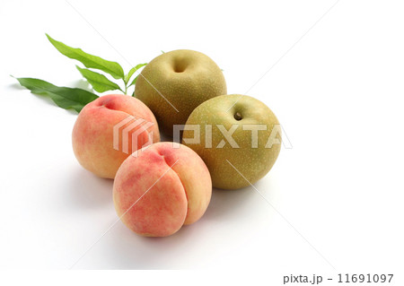 桃と梨 11691097