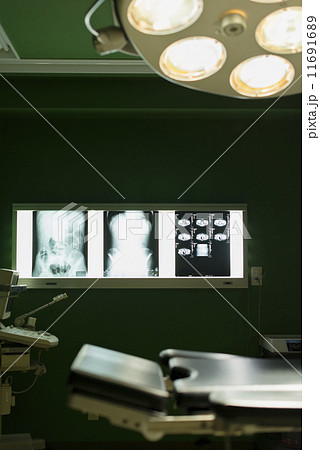 大人数医療 11691689