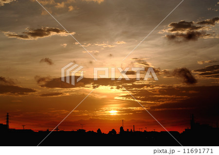 landscape 11691771