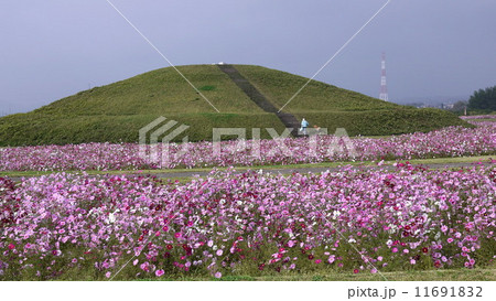 埴輪公園 11691832