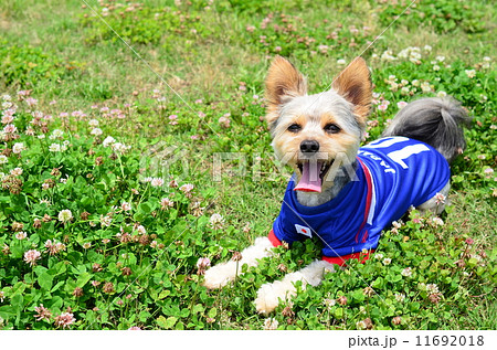 えへへ♪ えへへ♪ 11692018