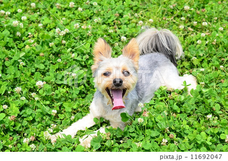 ちょっち休憩♪ 11692047