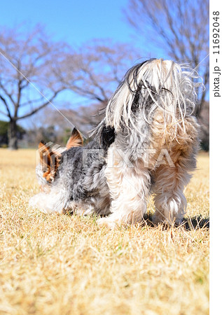 尻上がり♪ 尻上がり♪ 11692048