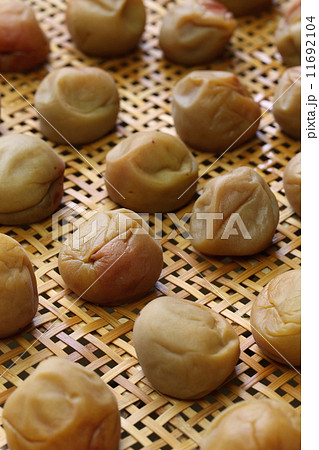 梅干し天日干し 梅干し天日干し 11692104