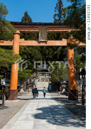 櫻山八幡宮 11692191