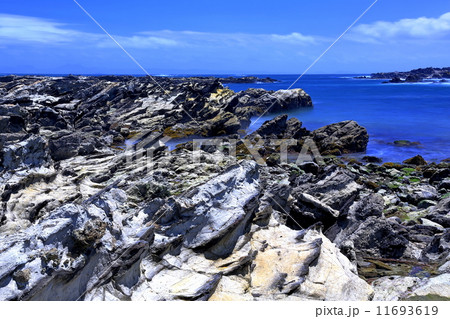 三浦半島毘沙門海岸 11693619