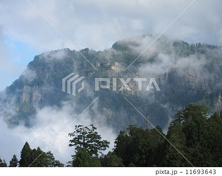台湾 阿里山国家森林遊楽区 阿里山 台湾 阿里山国家森林遊楽区 阿里山 11693643